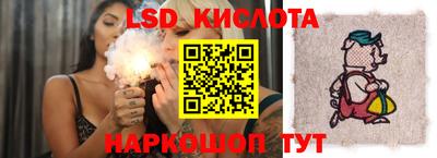 тгк Камышлов