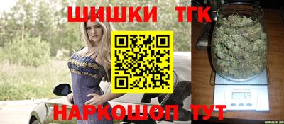 тгк Камышлов