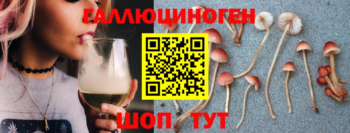 Галлюциногенные грибы прущие грибы  Галлюциногенные грибы прущие грибы  купить   Вход с VPN  Кувандык 