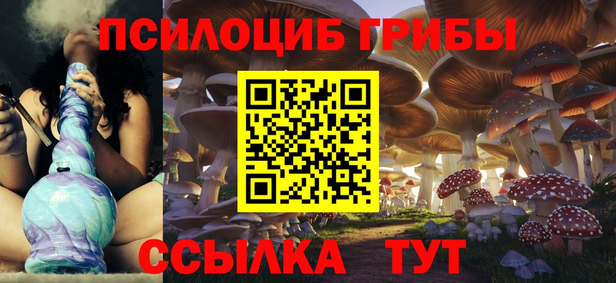 Псилоцибиновые грибы прущие грибы Кувандык